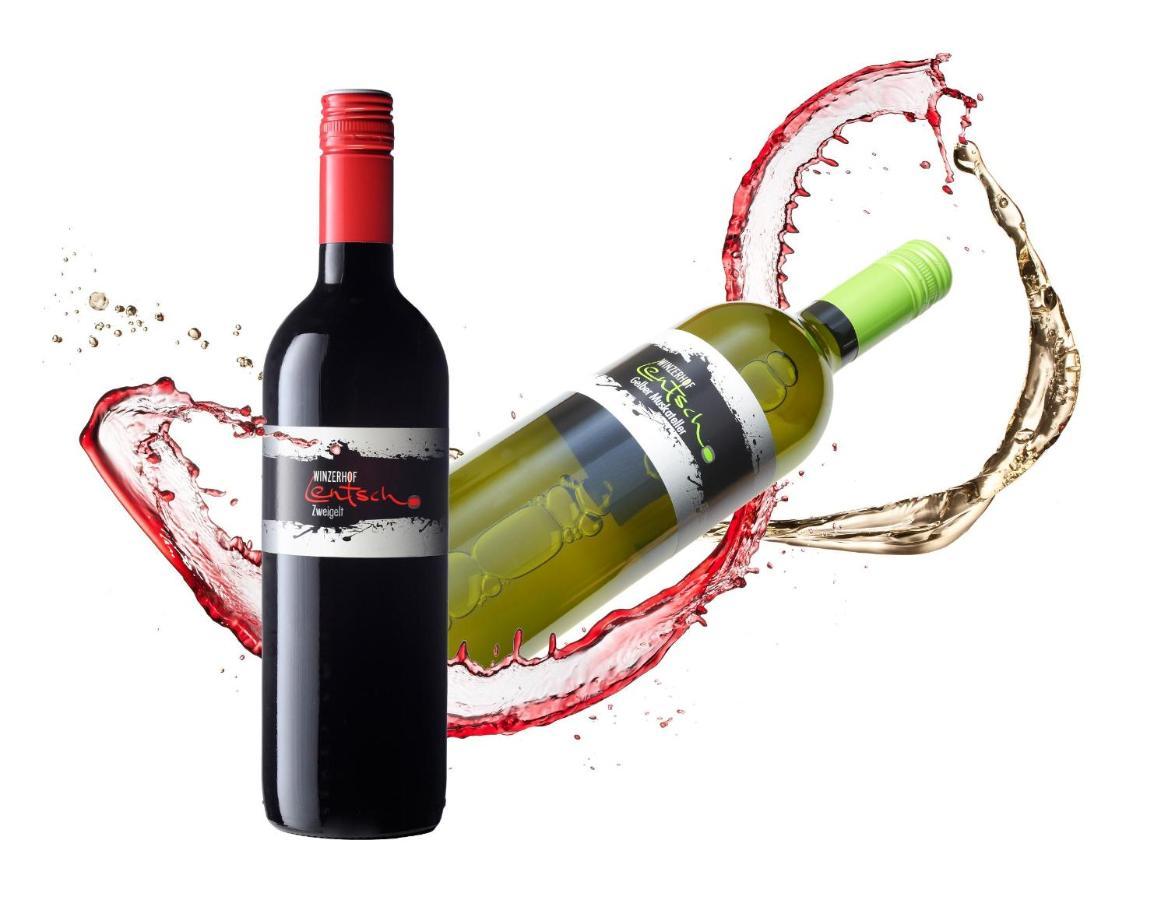 조이스 Winzerhof Lentsch 아파트 외부 사진